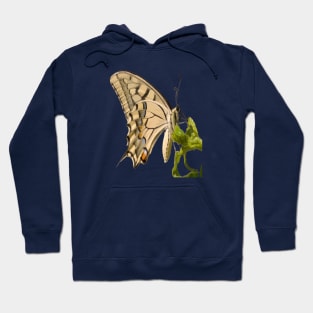 Swallowtail Butterfly Vector Isolated Hoodie